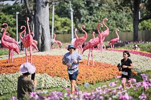 BIB: 
                            <button type="button" onclick="openModal(27793746)" class="btn btn-primary btn-sm float-right btn-popup" data-toggle="modal" data-target=".modal-high-quality">
                        <i class="fas fa-shopping-cart"></i> Add to Cart
                    </button>
                                            <button type="button" onclick="isThisMe(27793746, true)" class="btn btn-success btn-sm float-right btn-popup btn-isme hidden" data-toggle="tooltip" data-placement="bottom" title="นี่คือรูปของคุณใช่ไหม คลิกที่นี่เพื่อเอาเข้าอัลบั้ม">
                        <i class="fas fa-plus"></i> Add to album
                    </button>
                    <button type="button" onclick="isThisMe(27793746, false)" class="btn btn-warning btn-sm float-right btn-popup btn-isnotme hidden">
                        <i class="fas fa-ban"></i> Remove from album
                    </button>